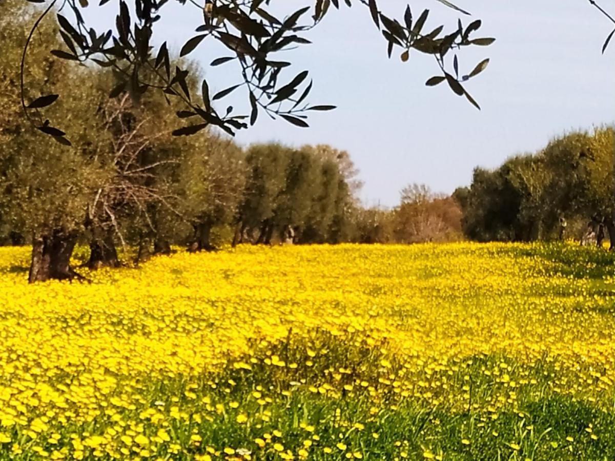 Masseria - Trulli Genius Loci Dimore Монополи Екстериор снимка